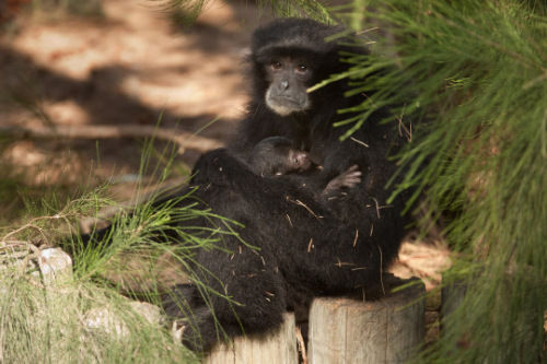 �����Ҳ�п���ƽ����ȴ͸��ΰ���ĸ��