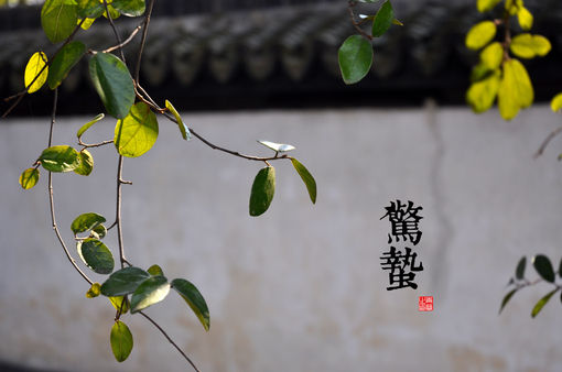 惊蛰 insects awaken 春分 vernal equinox 清明