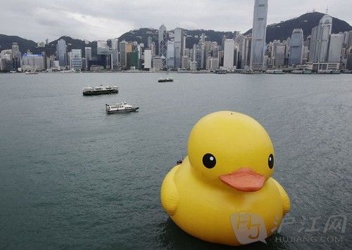 双语:世界最大橡皮鸭亮相香港(图)