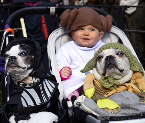 1. May the force be with you: A baby and two dogs dress in a Star Wars theme. Ըԭͬڡս̨ʣһСӤֻšսװ