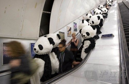 1. The pandas invaded. è׶ص