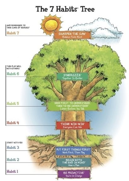 The 7 Habits Tree 
