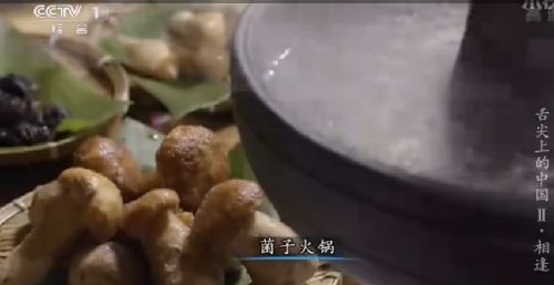Ͼӻ Yunnan mushroom hot pot