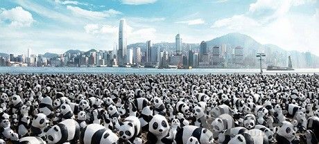 纸熊猫快闪:空降香港呼吁环保(双语)