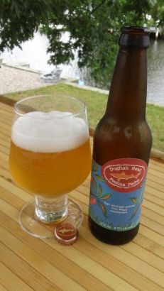 Dogfish Head Festina Peche