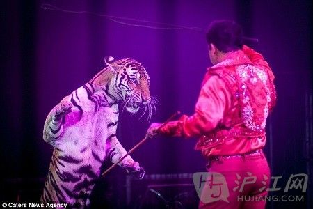 �������ī�����ֹ������Ϸ����