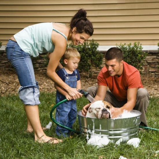 美国中产家庭如何训练孩子做家务