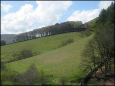 The British countryside