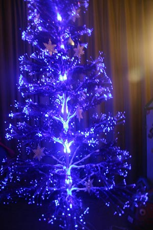 15种非主流圣诞树：蓝色的和球状的(组图)