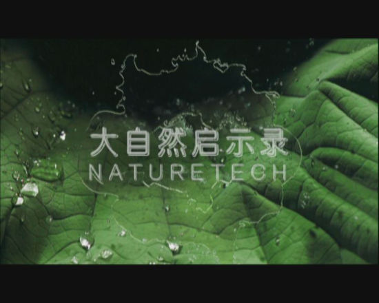 《大自然启示录》探索顶尖仿生科技的奥秘
