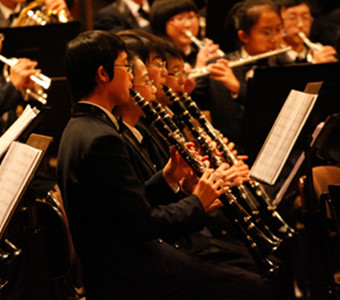 2013国际器乐艺术节维也纳爱乐乐团演奏