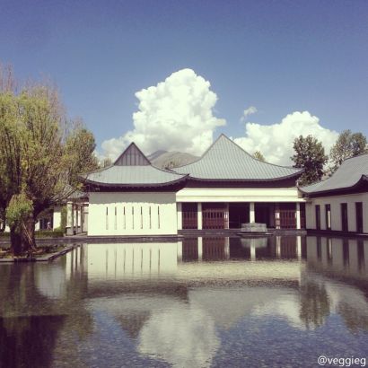 王菲西藏秀街边自拍 晒美景羡煞网友(图)