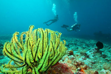 纪录片《南海南海》看点多 曝光幕后艰辛