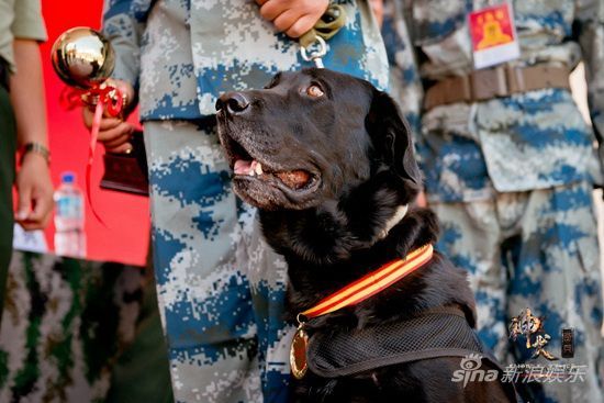 ����Ȯ�����������