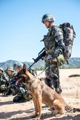 神犬奇兵将收官步枪命运生死成迷