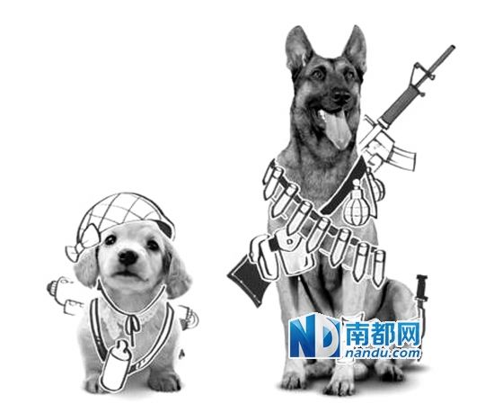 《神犬奇兵》:狗狗成新主角