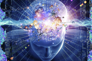 传最强大脑落户央视不实 选手遭秒杀