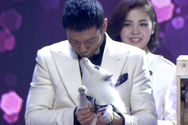 灰姑娘黄晓明吻小狐狸 三万西装遭践踏