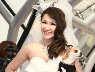 ������������������#����10������ʯ��ָ