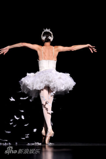 图文:托卡黛罗北京首演-飘落一地的天鹅羽毛_影音娱乐_新浪网