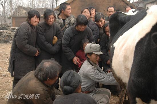 斗牛电影下载