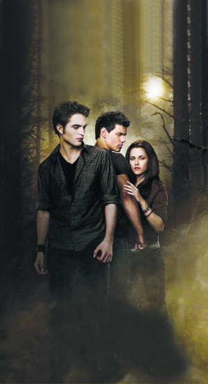 《暮光之城》接班《哈利-波特》 小说大受欢迎