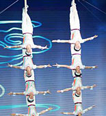2008央视春节晚会-杂技《激情爬杆》