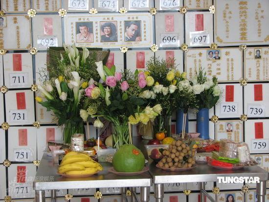 陈淑芬悼念张国荣 素颜郑欣宜大方任拍