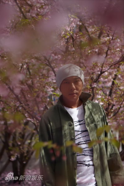 张卫健