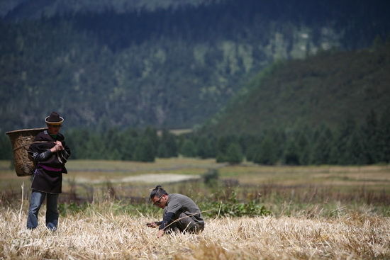 图文:行走的力量入住藏民居-与当地农民
