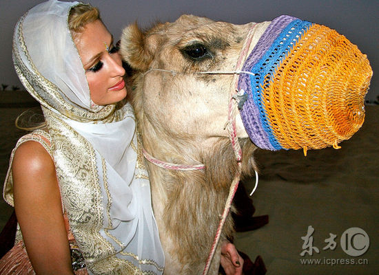 希尔顿迪拜拍真人秀 化身中东艳女挑逗骆驼【图】