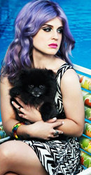 ����-��˹��������Ƭ