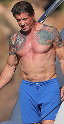 ʷ̩������౬���