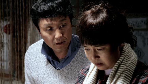 王澜出演80后作家转型力作与吴刚演恩爱夫妻