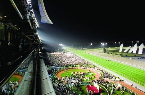 迪拜赛马世界杯登陆北京电视台新闻频道|赛马
