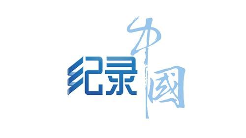 2013成中国纪录片平台年 制作联盟推改变