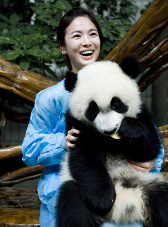 韩国女星宋慧乔成全球首位熊猫爱心大使【图】