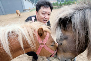 藏獒护院养小马于谦好这口儿