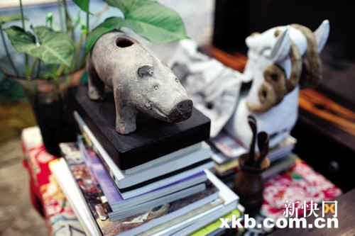 多面张大力和他的自留地