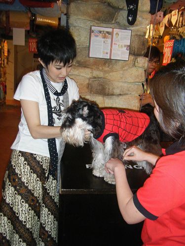 刘力扬马来西亚逛宠物店与狗狗亲密接触