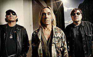 TheStoogesֶӼ޶-ʲȥ(ͼ)