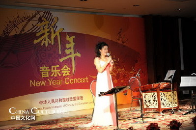 奏响和谐之声促进中欧友谊(图)