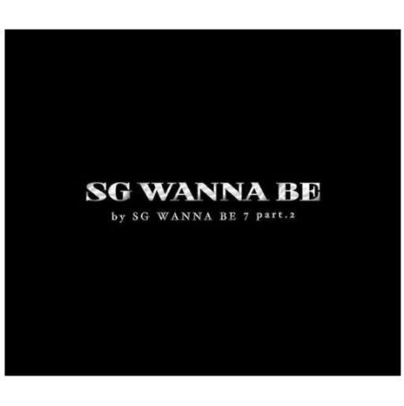 SG-Wannabe-7-Part.2