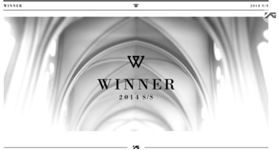 YGWINNERר2014 S/SȫĿ