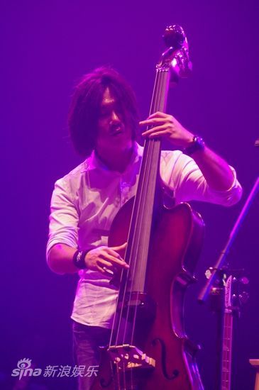 ɯdouble bass