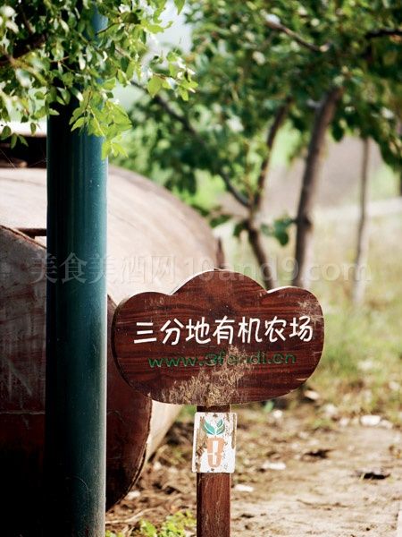 土上长:三分地有机农场,三分地的幸福|秘密|有机