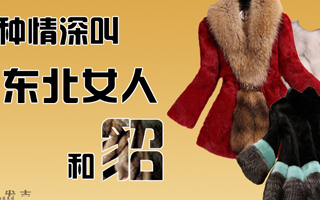 有一种情深,叫东北女人和貂