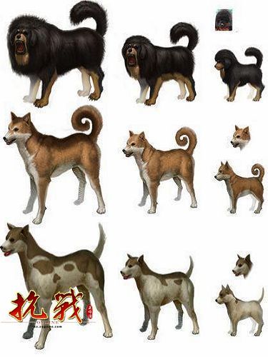 携犬出征