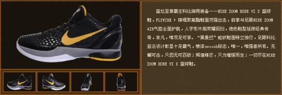 Zoon koBe VI