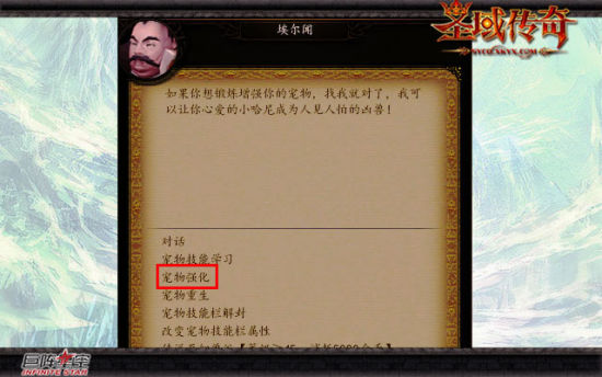 选择宠物强化 选择宠物强化